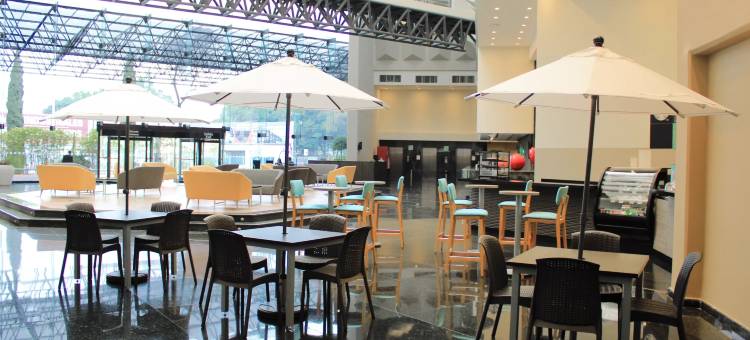 Holiday Inn 墨西哥城大理机场(Holiday Inn MEXICO DALI AIRPORT by IHG)图片