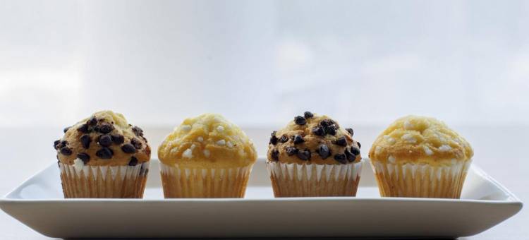 宜必思柏林德莱林登酒店(Ibis Berlin Dreilinden)图片