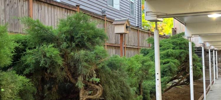 哥伦布汽车旅馆(Columbus Motor Inn)图片