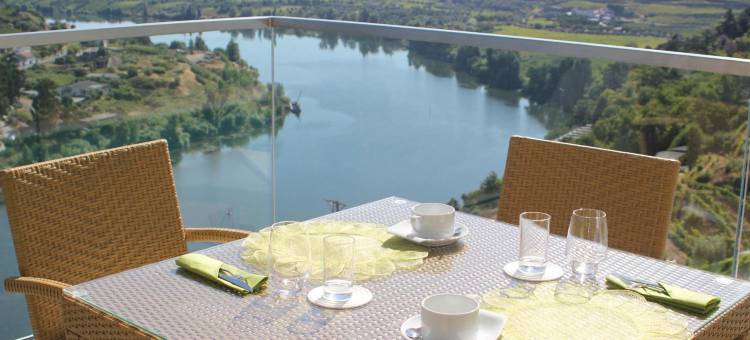 德尔芬杜罗酒店(Delfim Douro Hotel)图片