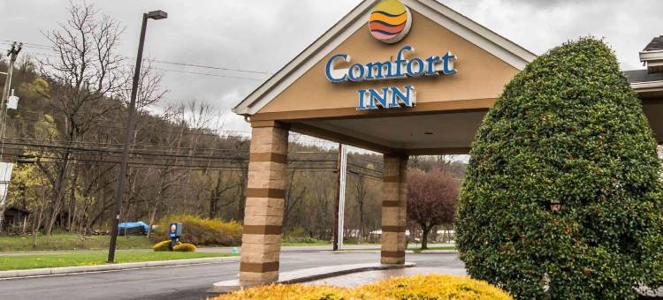 阿特金斯马里恩I-81舒适酒店(Comfort Inn Atkins-Marion I-81)图片