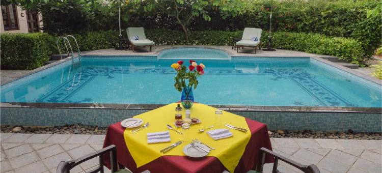 生命之树Darbargadh，Dared(Tree of Life Darbargadh Dared)图片