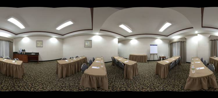 Holiday Inn Express & Suites Dallas - Grand Prairie I-20图片