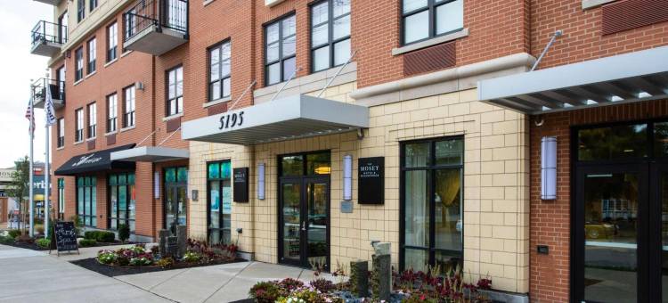 威廉斯维尔斯漫步水牛城酒店，希尔顿启缤精选(The Mosey Buffalo Williamsville, Tapestry Collection by Hilton)图片