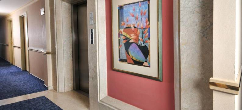 克拉斯酒店(Class Hotel)图片