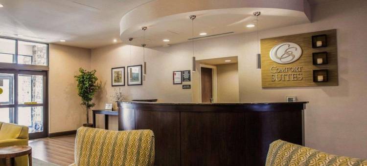 舒适套房酒店-诺曼湖亨特斯维尔(Comfort Suites Lake Norman - Huntersville)图片