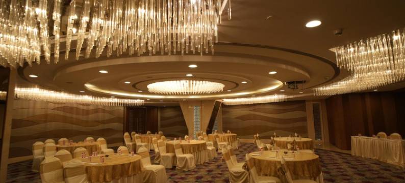 乌代布尔丽筠酒店(Radisson Udaipur)图片