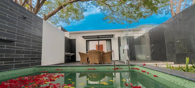 达尔扎度假村(Darza Resorts)图片