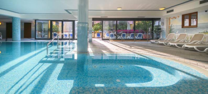 加尔达贝尔维尤酒店(Hotel Garda Bellevue)图片