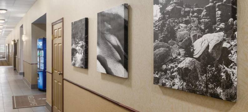 达科他丘丽怡酒店(Country Inn & Suites by Radisson, Dakota Dunes, SD)图片