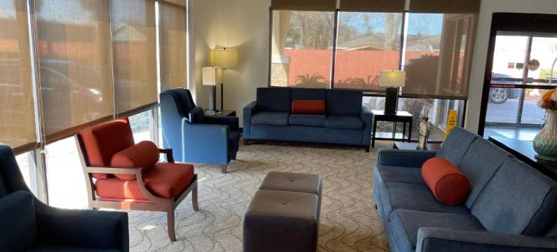 查尔斯湖舒适套房酒店(Comfort Suites Lake Charles)图片
