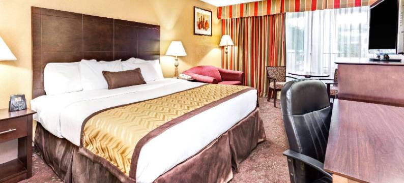 温德姆花园酒店-罗穆勒斯底特律机场(Wyndham Garden Romulus Detroit Metro Airport)图片