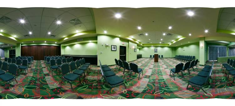 Holiday Inn 花环(Holiday Inn Dallas - Garland)图片