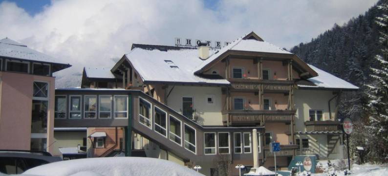 弗拉特施霍夫酒店(Hotel Flattacher Hof)图片