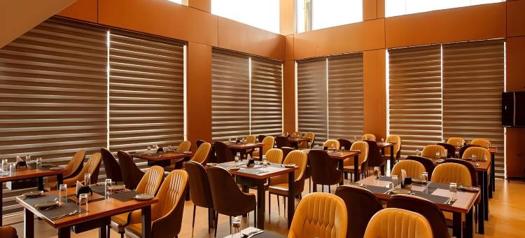 Mastiff Select Bidar图片