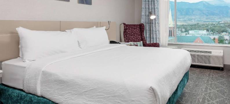 科罗拉多斯普林斯市中心希尔顿花园酒店(Hilton Garden Inn Colorado Springs Downtown)图片