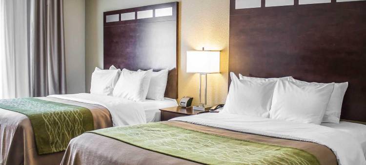 舒适酒店(Comfort Inn)图片