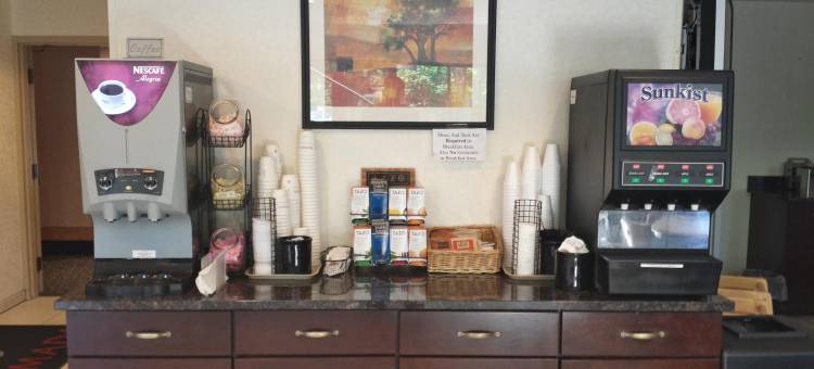 贝顿多夫温德姆华美达酒店(Ramada by Wyndham Bettendorf)图片