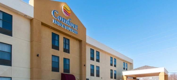 舒适套房酒店(Comfort Inn & Suites)图片