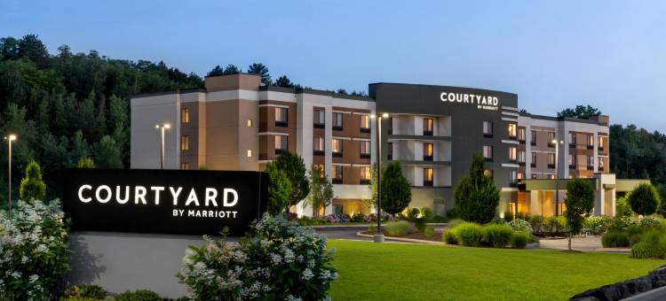 威尔克斯巴里竞技场万怡酒店(Courtyard Wilkes-Barre Arena)图片