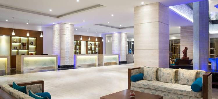 望加锡福朋喜来登酒店(Four Points by Sheraton Makassar)图片