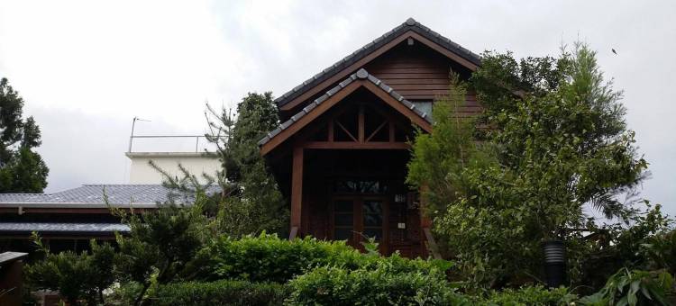 盛夏的軌跡图片