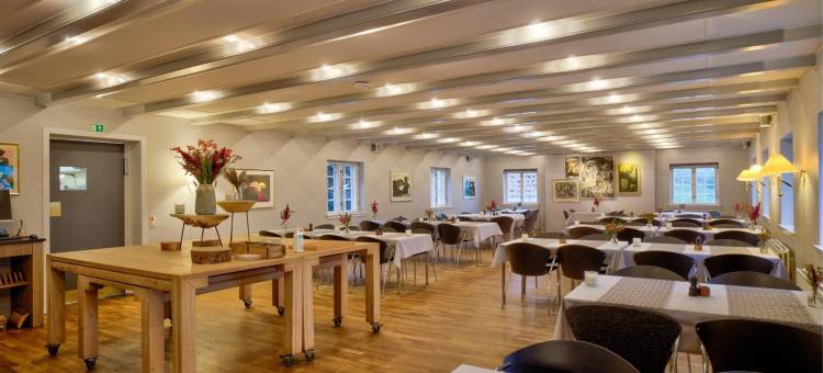 哈拉德斯卡辛那图尔酒店及会议中心(Haraldskær Sinatur Hotel & Konference)图片