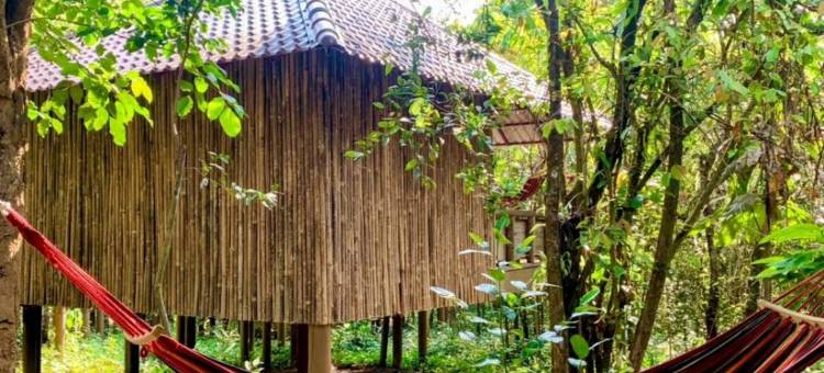 塔太彩虹小屋(Rainbow Lodge)图片