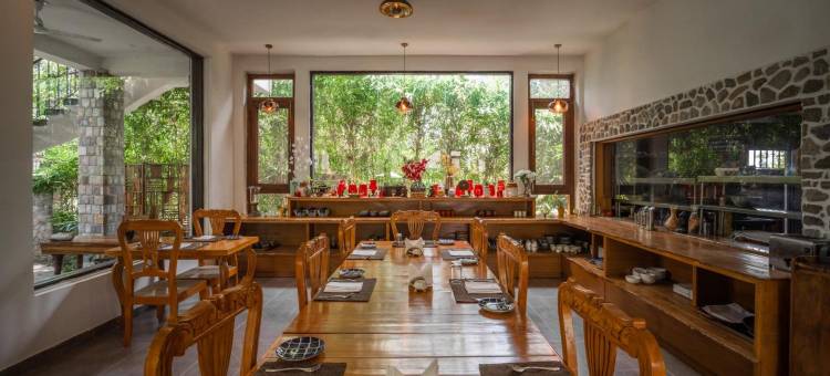 生命之树Vanvilas Riveredge(Tree of Life Vanvilas Riveredge Corbett)图片