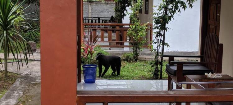 唐科科马卡卡度假村(Tangkoko Macaca)图片