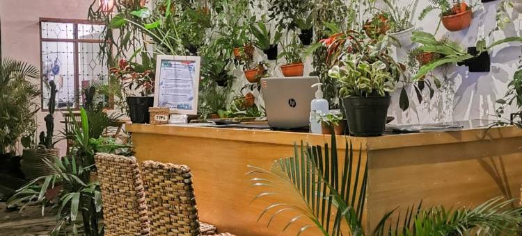 伊真火山小睡旅馆(Snooze Hostel Ijen)图片