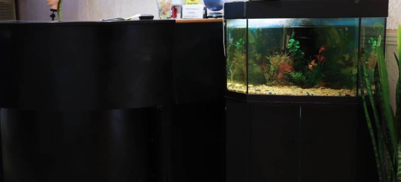 阿法里纳酒店(Afalina)图片