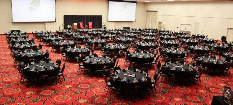 洲际酒店集团假日酒店德梅因机场/会议中心(Holiday Inn des Moines-Airport/Conf Center)图片