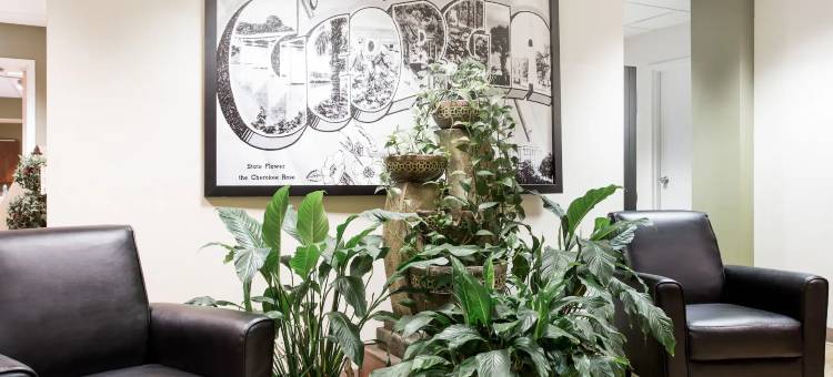 拉沃尼亚速8酒店(Super 8 by Wyndham Lavonia)图片