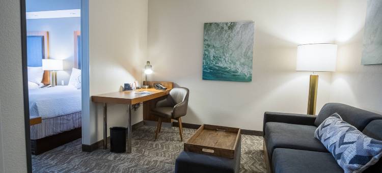 温斯顿塞勒姆哈内斯商城SpringHill Suites 酒店(SpringHill Suites Winston-Salem Hanes Mall)图片