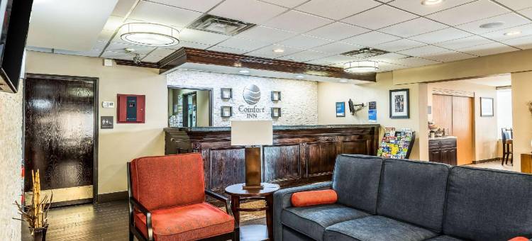 舒适酒店-市中心(Comfort Inn Downtown)图片