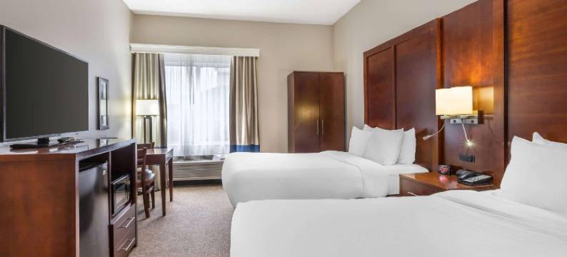 康威舒适套房酒店(Comfort Inn & Suites Conway)图片