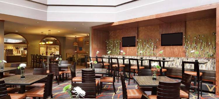 达拉斯希尔顿安泊套房酒店-近商业街廊(Embassy Suites by Hilton Dallas Near the Galleria)图片