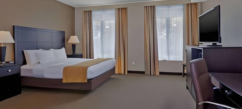 白厅舒适酒店 - 近密歇根冒险乐园(Comfort Inn Whitehall Near Michigan's Adventure)图片