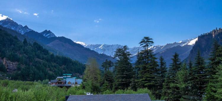 Tripli Hotels Namaste Manali图片