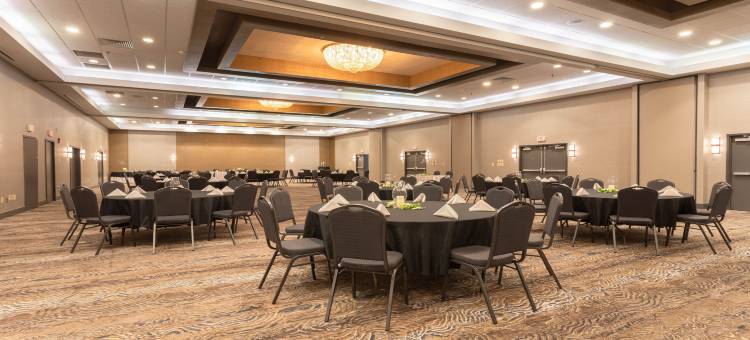 Holiday Inn 罗阿诺克 - 望谷(Holiday Inn Roanoke Airport-Conference Ctr)图片