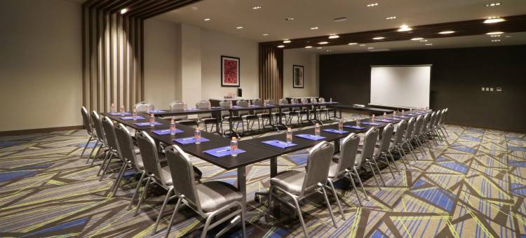 蒙特雷方迪多拉智选假日酒店(Holiday Inn Express Monterrey - Fundidora)图片