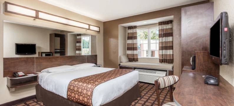 温德姆梅肯麦客达套房酒店(Microtel Inn & Suites by Wyndham Macon)图片