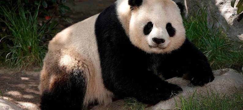 圣迭戈机场/自由站万怡酒店(Courtyard San Diego Airport/Liberty Station)图片