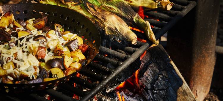 奥扎克高地的明信片小屋，万豪旅享家户外系列(Postcard Cabins Ozark Highlands)图片