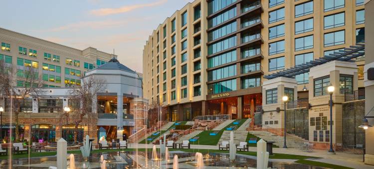 亚瑟亚当斯傲途格精选酒店(Asher Adams, Autograph Collection)图片