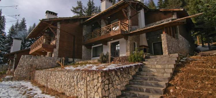 科霍利特度假村(Holiday Village Kochorite)图片