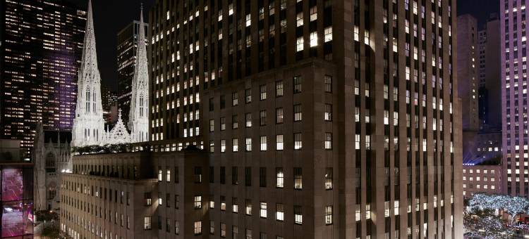 纽约市中心中城区第五大道希尔顿逸林酒店(DoubleTree by Hilton New York Midtown Fifth Ave)图片