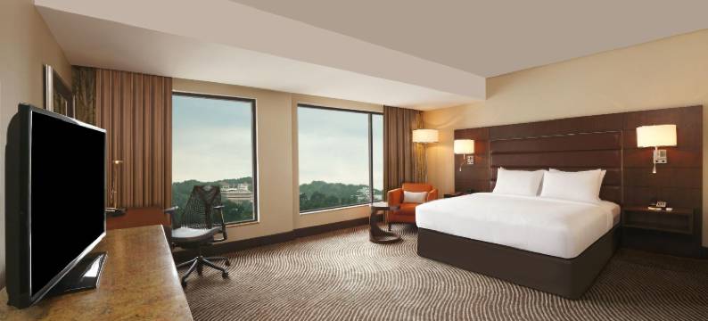 特里凡得琅希尔顿花园酒店(Hilton Garden Inn Trivandrum)图片