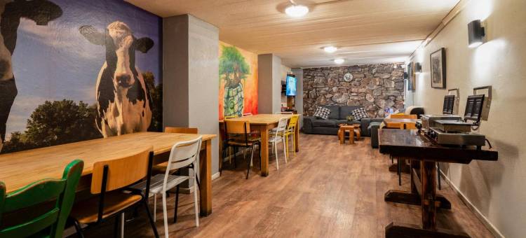 飞天猪市中心旅舍(The Flying Pig Downtown)图片